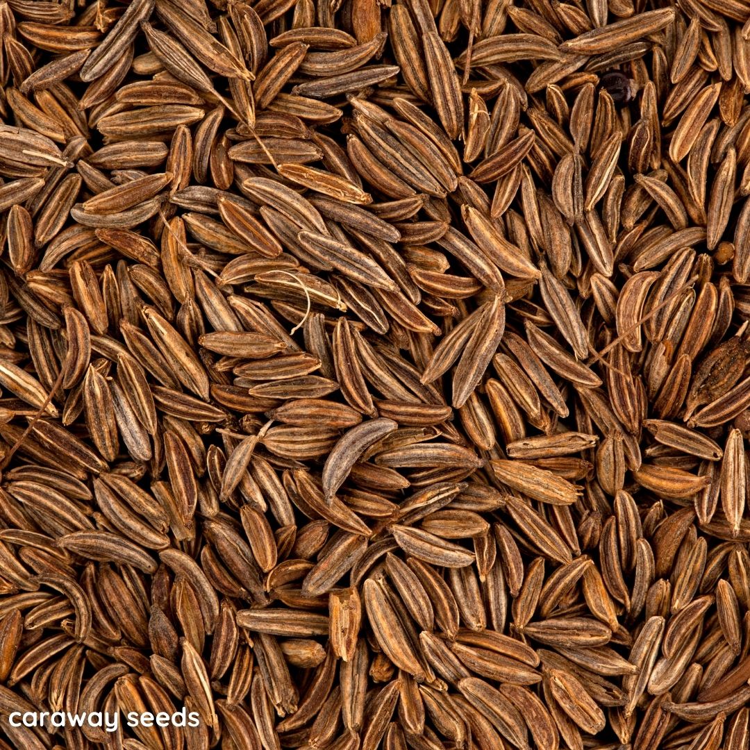 Caraway Seeds