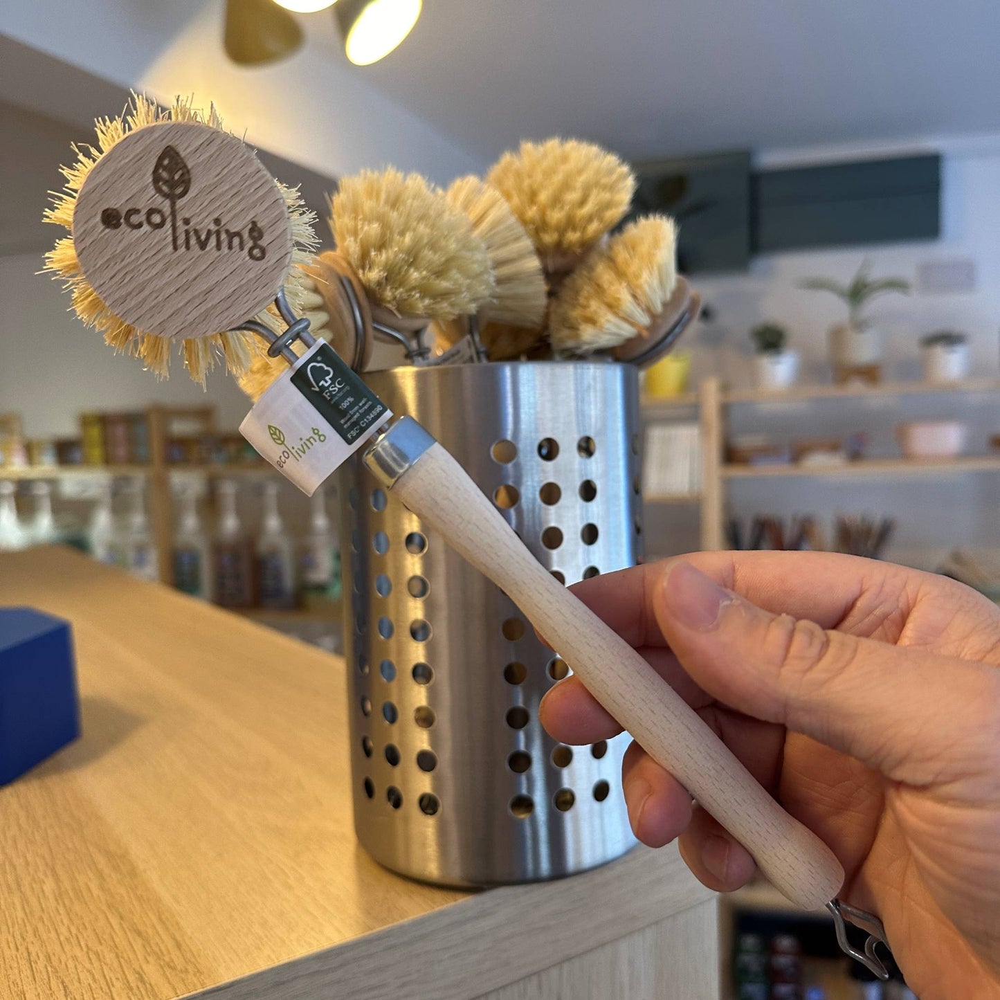 Wooden Dish Brushes