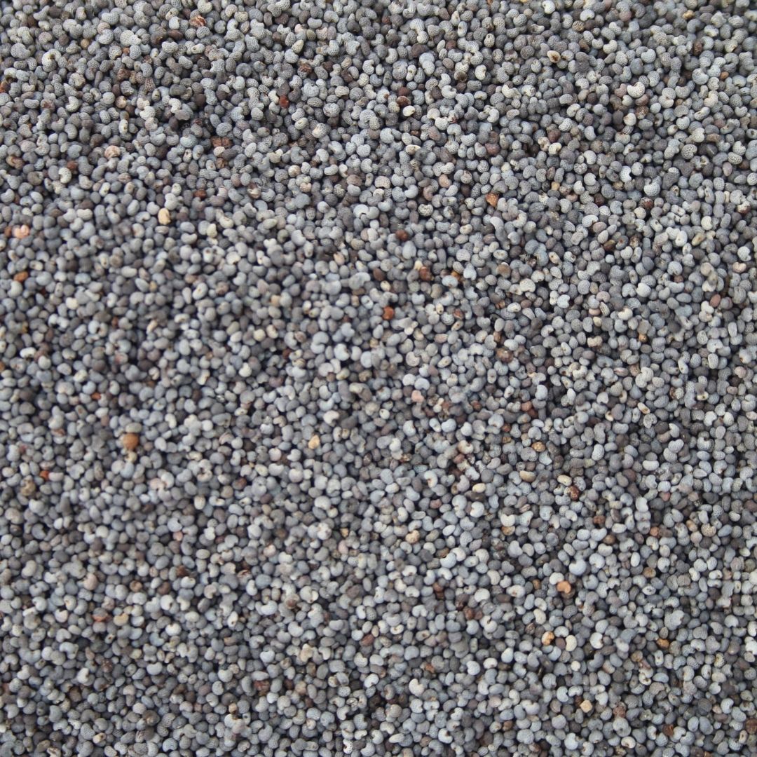 Organic Poppy Seeds