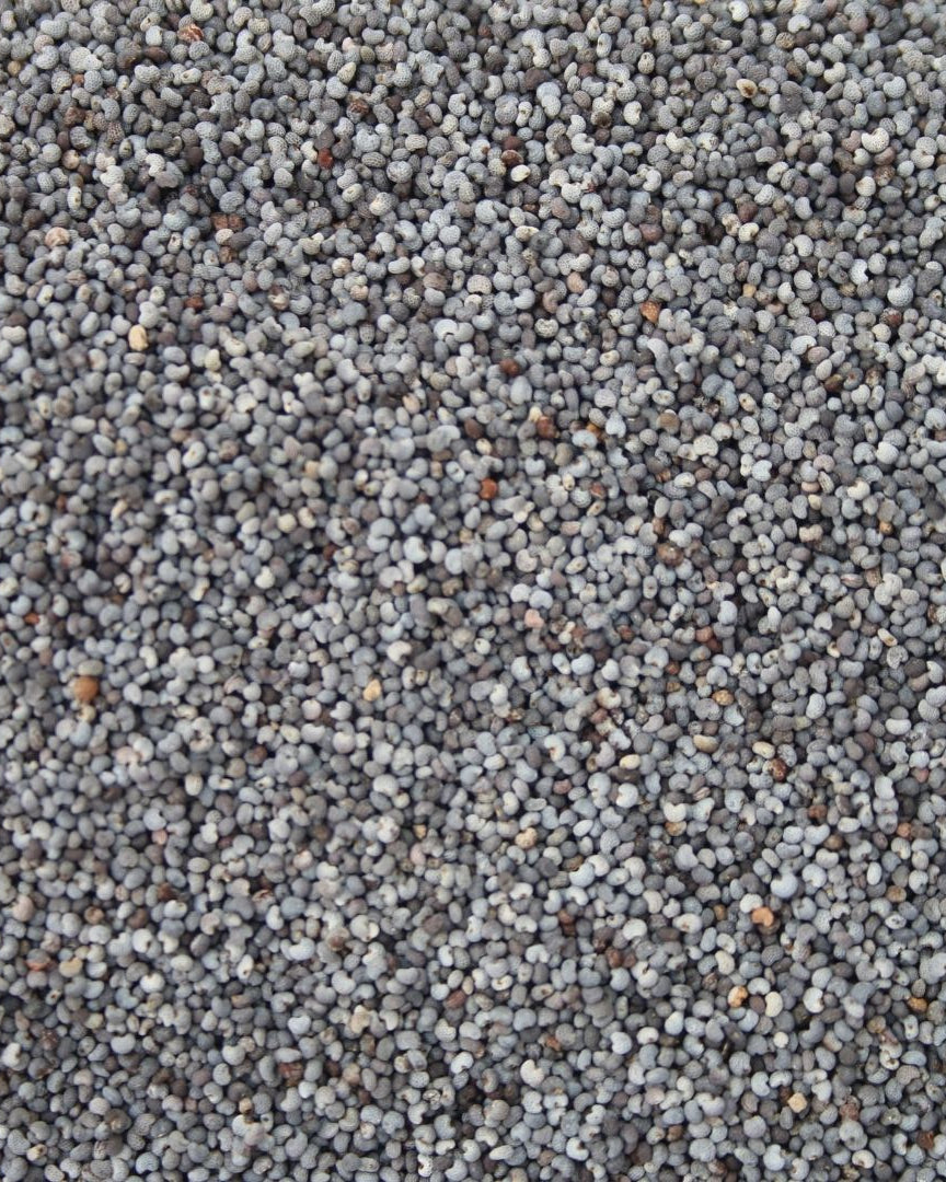 A close-up view of organic poppy seeds.
