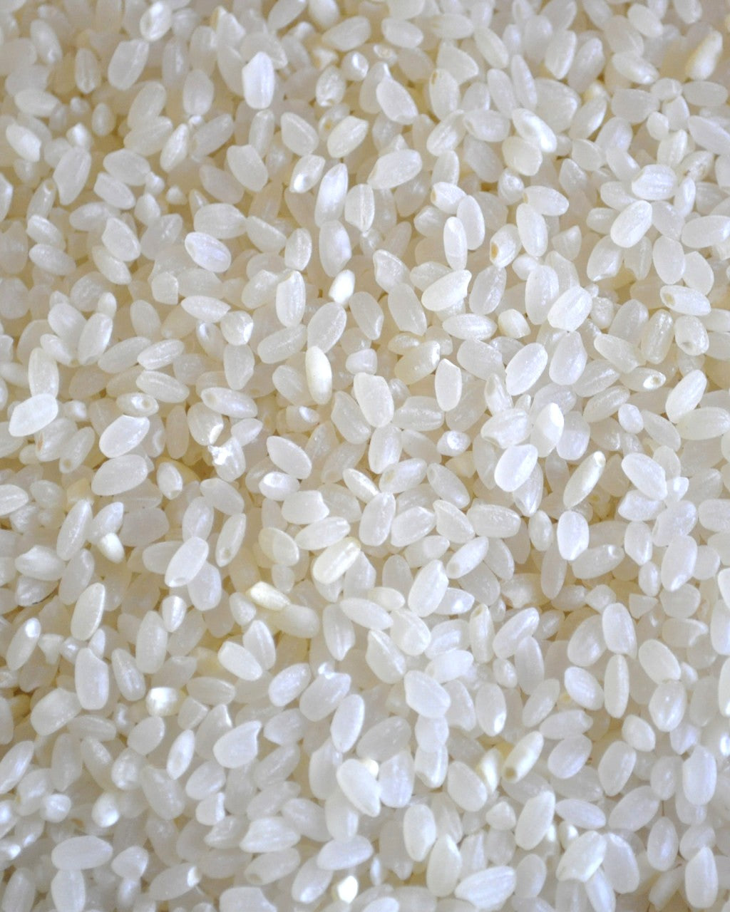 Organic Pudding/Sushi Rice