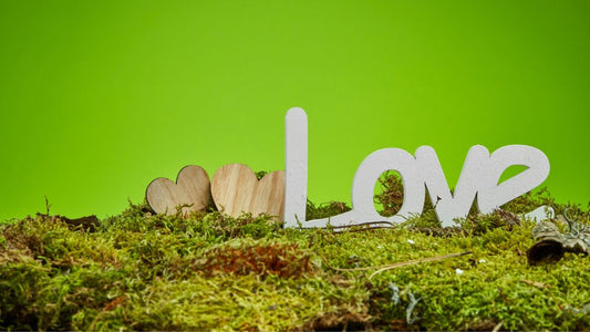 A Love Letter to the Planet: Sustainable Ways to Celebrate Valentine’s Day