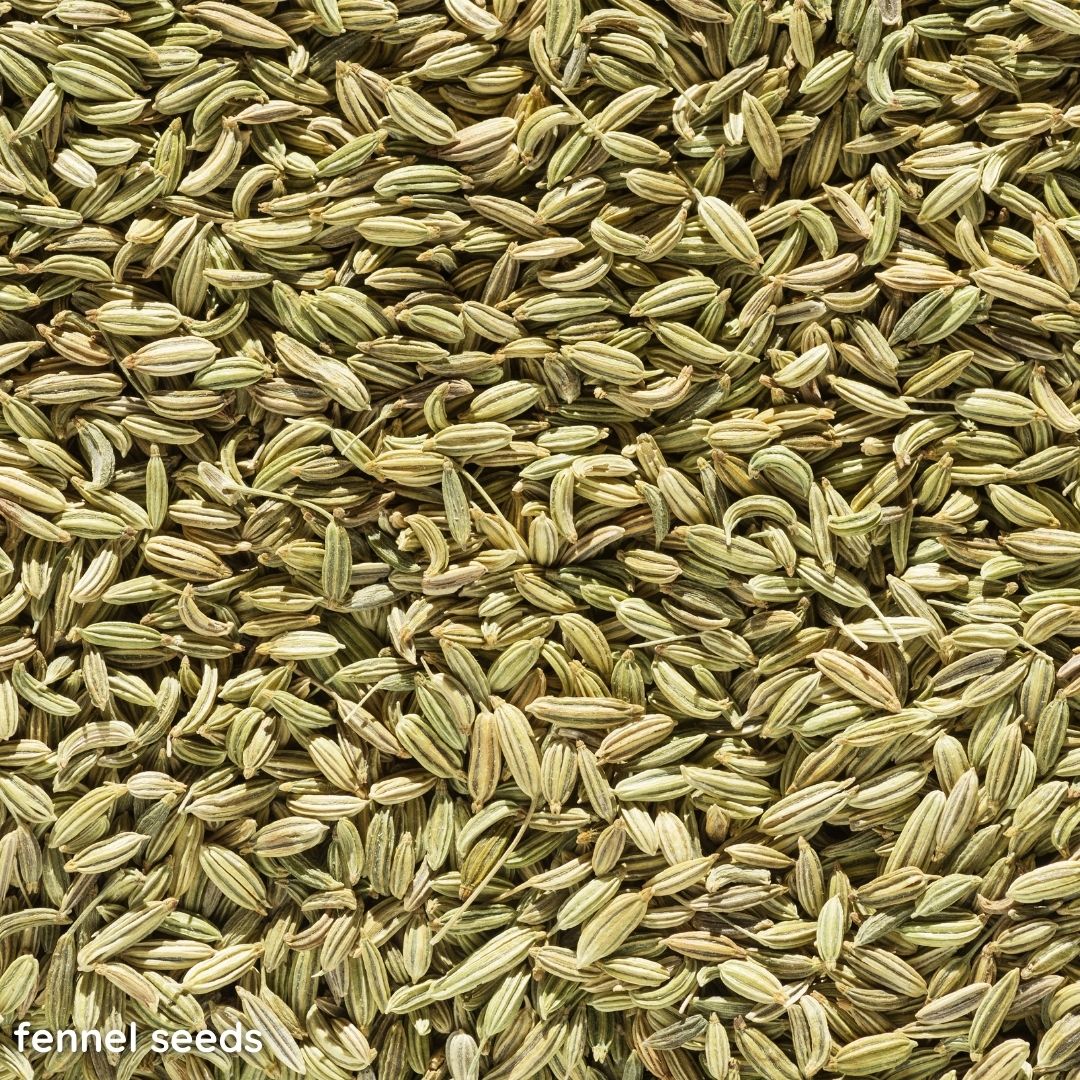 Fennel Seeds