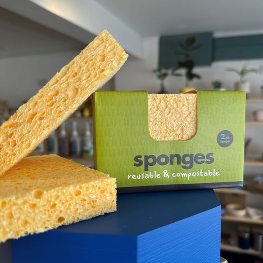 EcoLiving Compostable Sponges 2 Pack