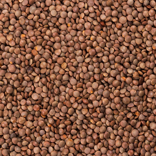 Organic Brown Lentils