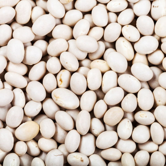 Organic Haricot Beans