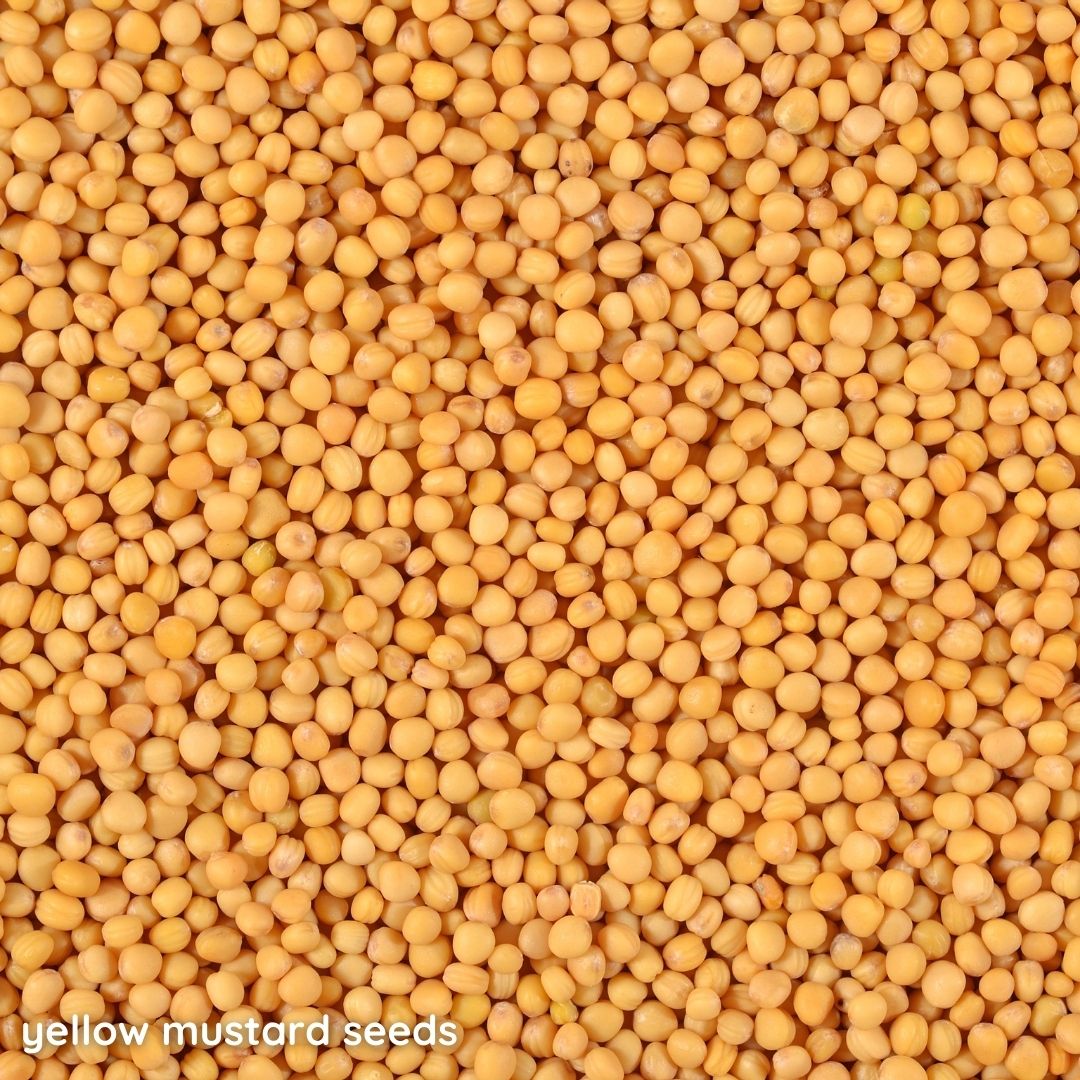 Yellow Mustard Seeds