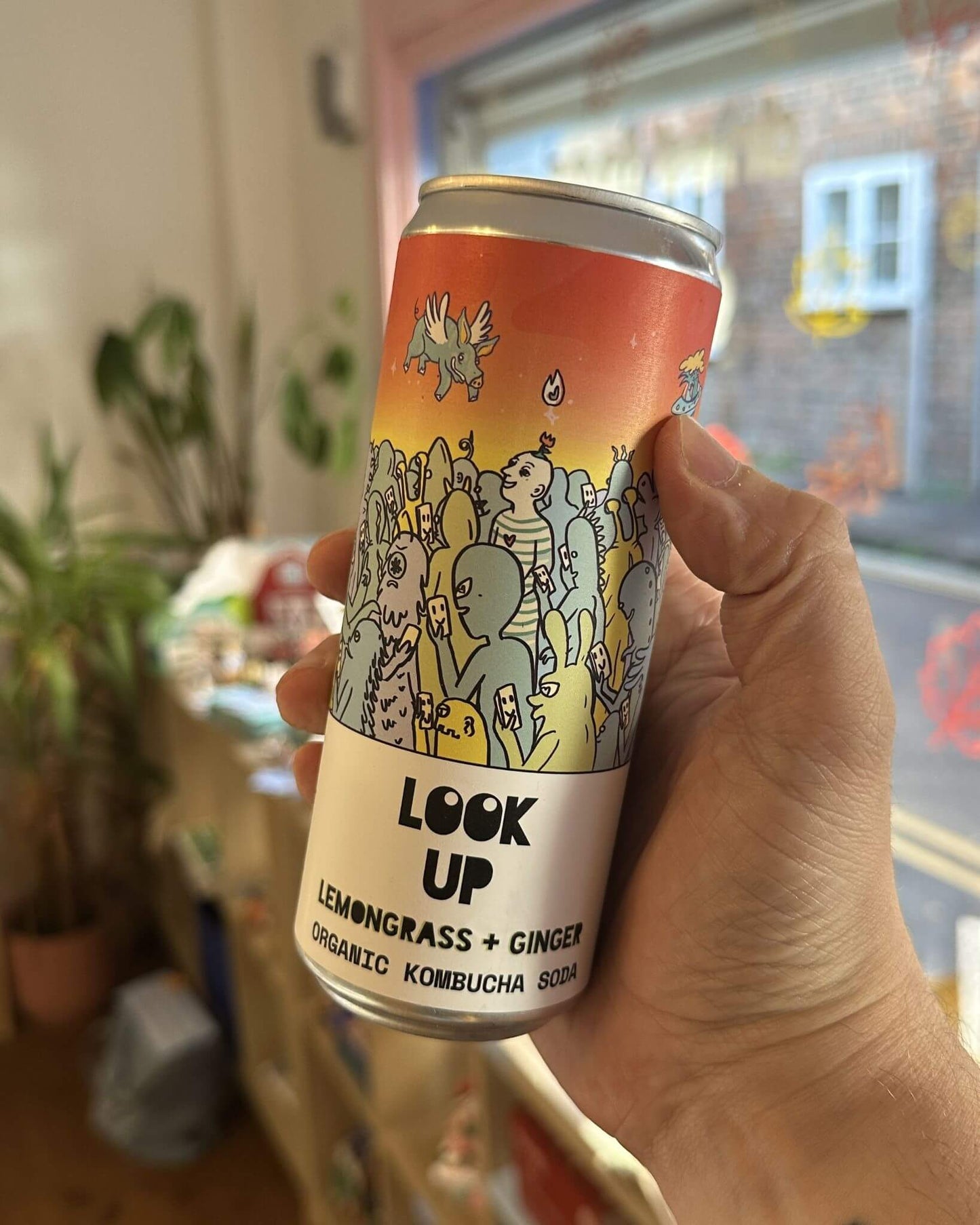 Lemongrass + Ginger Organic Kombucha Soda - Look Up