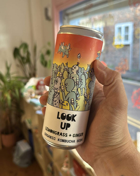 Lemongrass + Ginger Organic Kombucha Soda - Look Up