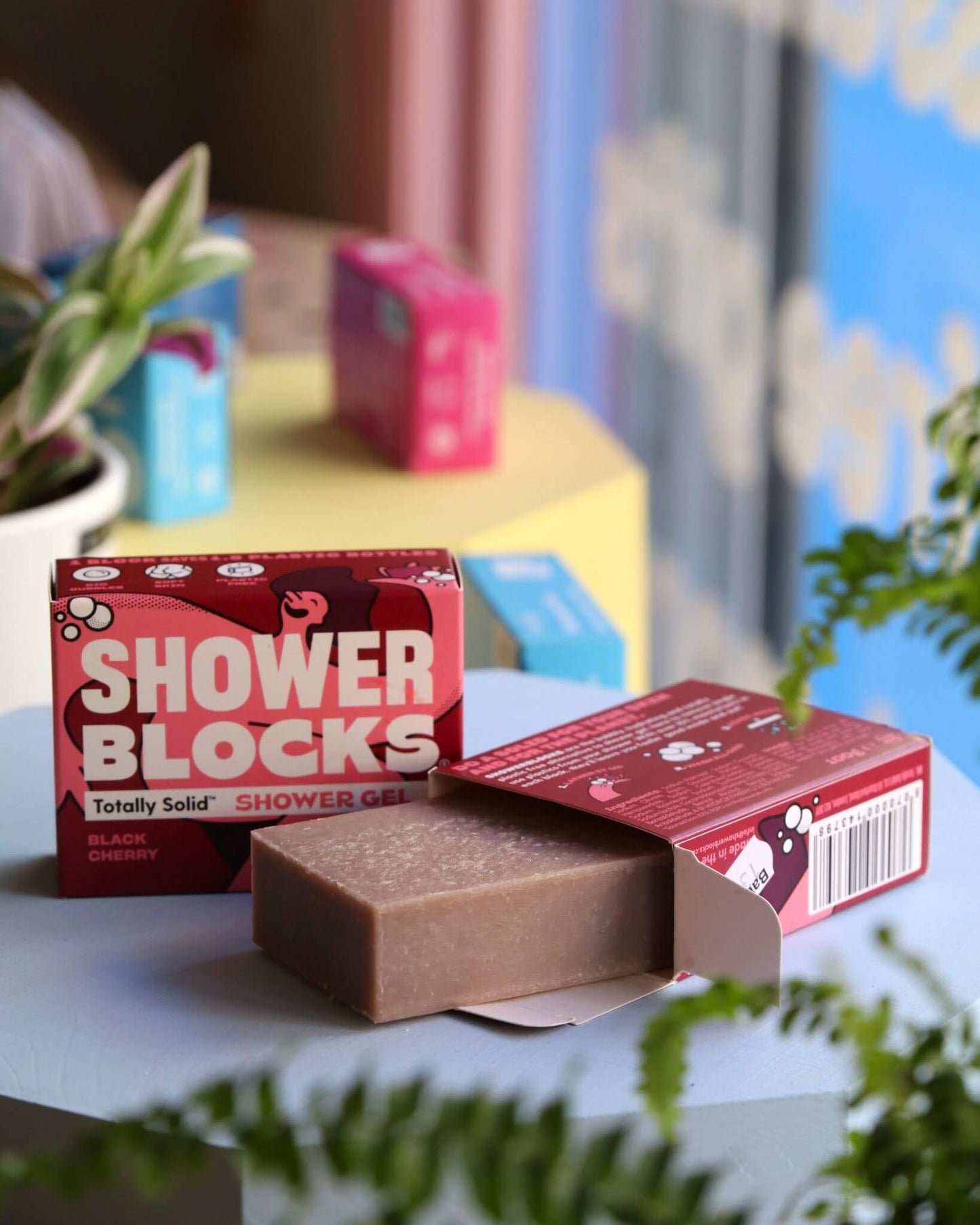 Shower Blocks - Solid Shower Gel